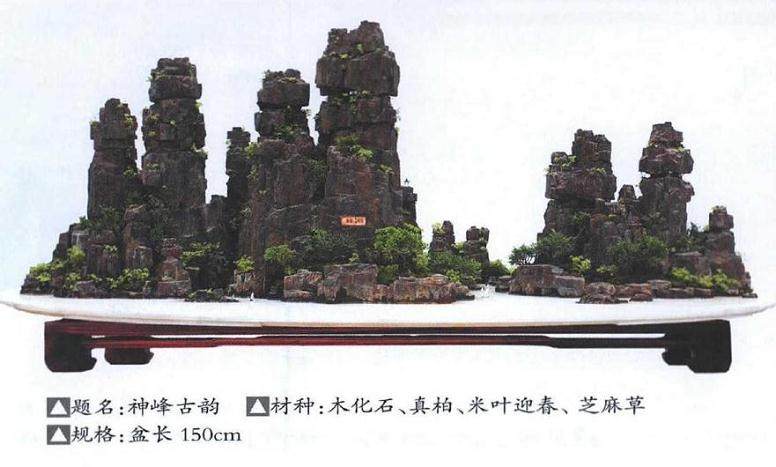 我制作山水盆景的制作后感