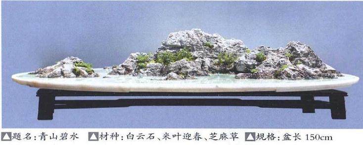 我制作山水盆景的制作后感