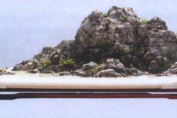 我制作山水盆景的制作后感