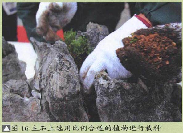 图解 山水盆景《峡江烟云》的制作过程 23幅