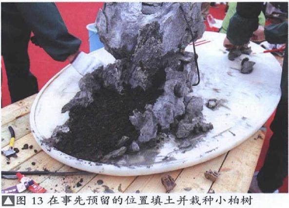 图解 山水盆景《峡江烟云》的制作过程 23幅