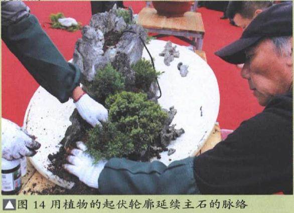 图解 山水盆景《峡江烟云》的制作过程 23幅