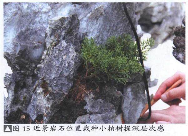 图解 山水盆景《峡江烟云》的制作过程 23幅