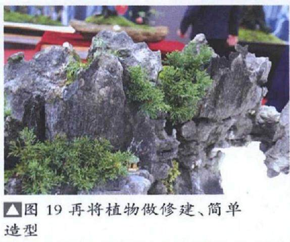 图解 山水盆景《峡江烟云》的制作过程 23幅