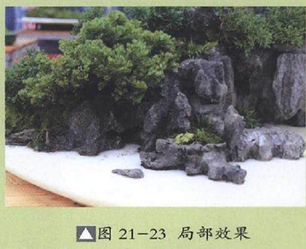 图解 山水盆景《峡江烟云》的制作过程 23幅