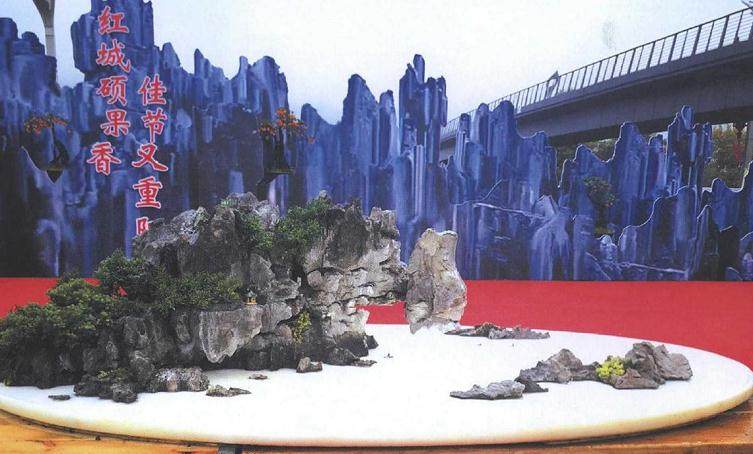 图解 山水盆景《峡江烟云》的制作过程 23幅