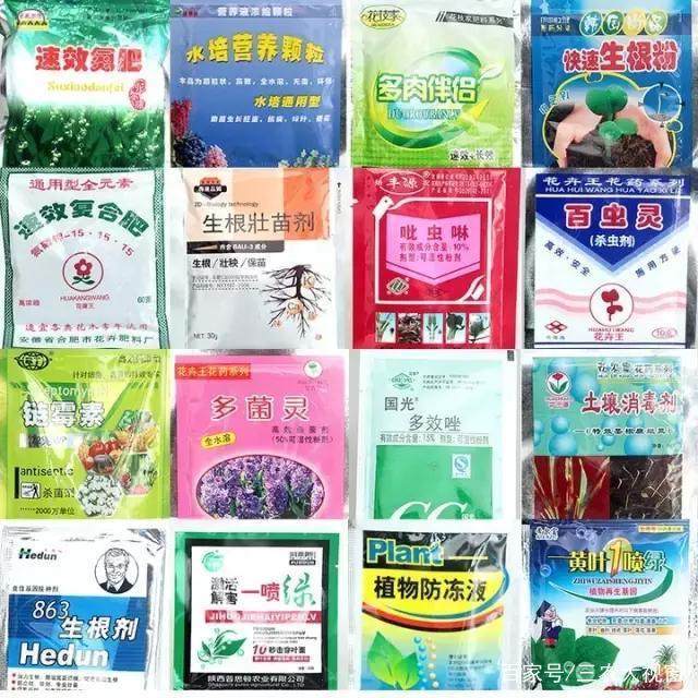 下山桩的生根剂合理使用 以及催芽方法!
