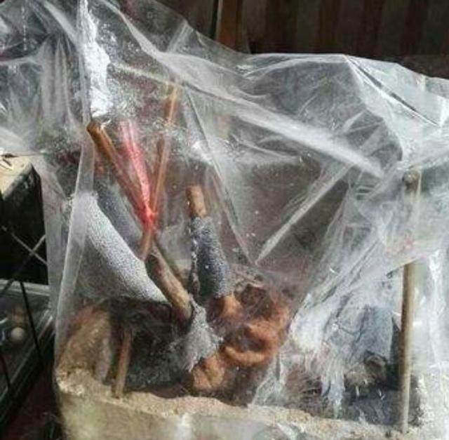 下山桩怎样套袋?要注意什么?