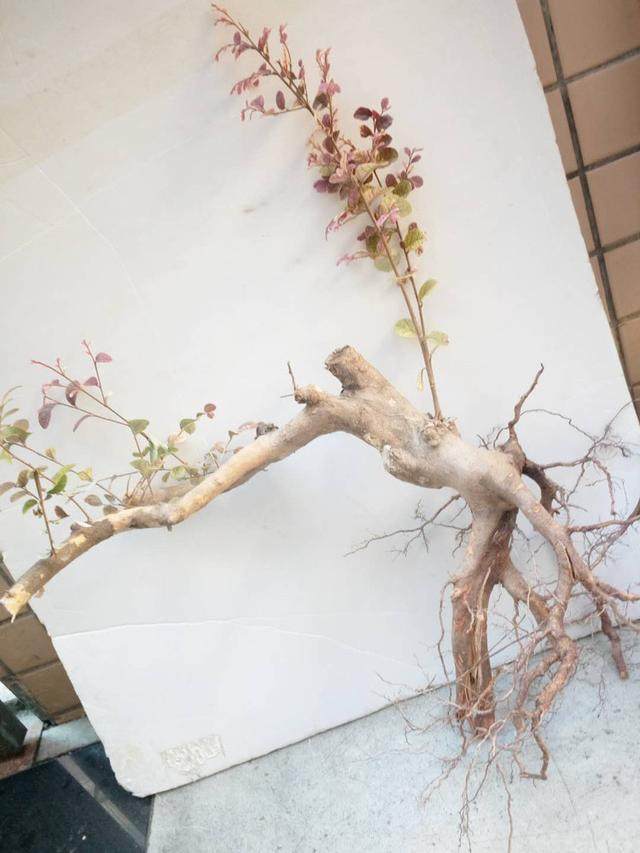 我构思了几个下山桩造型设计图