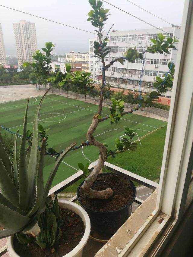 我构思了几个下山桩造型设计图