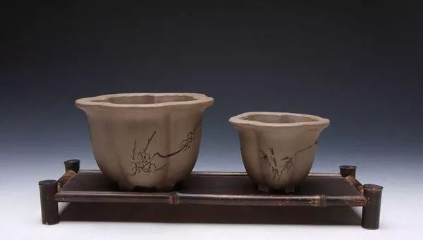 玩盆景你最该知道的配盆技巧 你都知道吗？