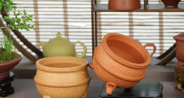 玩盆景你最该知道的配盆技巧 你都知道吗？