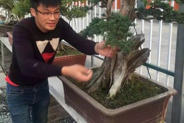 第二届上海国际青年盆景论坛嘉宾 时畅