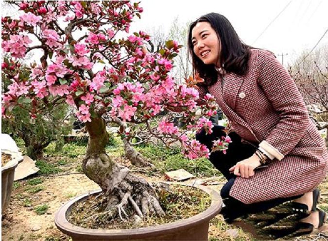 郯城这个村靠盆景发家致富 一盆能卖几万