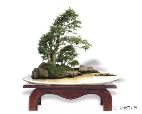 川派盆景大师的艺术人生 - 胡世勋