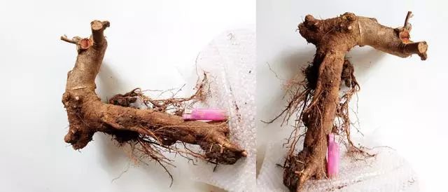 这个过程我们通常称为审桩和截桩。