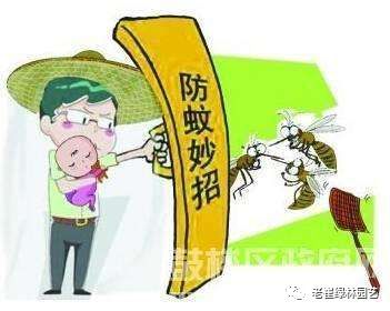 夏天家中盆景长势良好 但小飞虫多 怎么办?