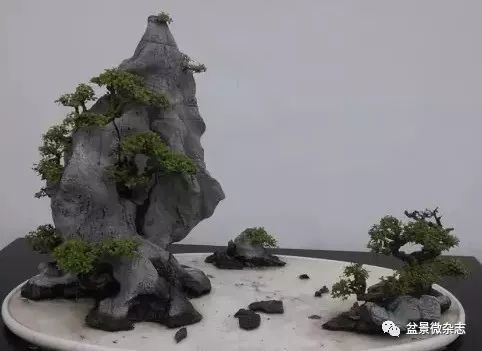 到了近代 山水盆景有了更大的发展 图片