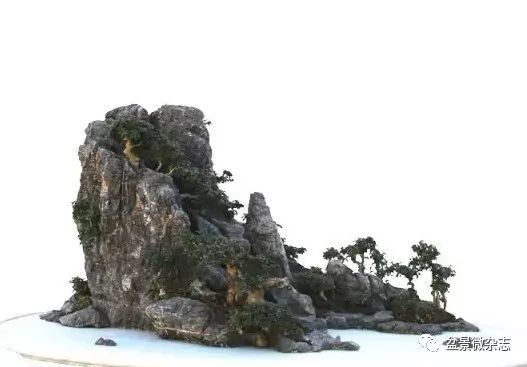 到了近代 山水盆景有了更大的发展 图片