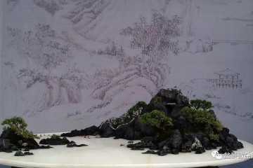 到了近代 山水盆景有了更大的发展 图片