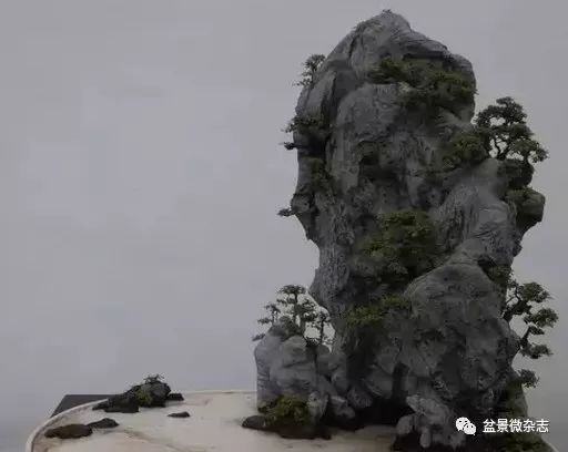 到了近代 山水盆景有了更大的发展 图片