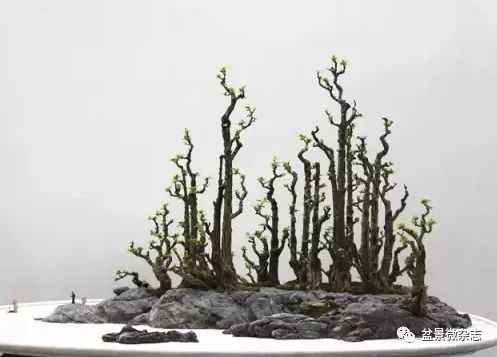 到了近代 山水盆景有了更大的发展 图片