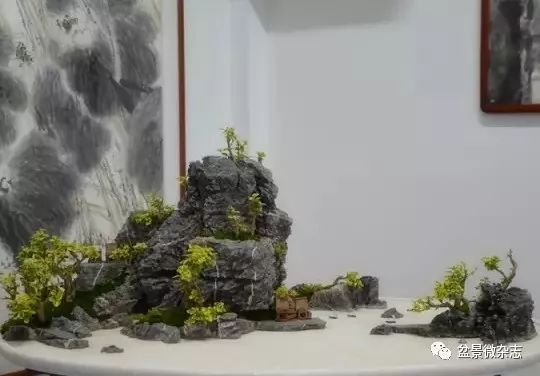 到了近代 山水盆景有了更大的发展 图片
