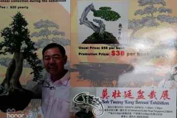 2018年 新加坡盆景艺术总会主办盆景展