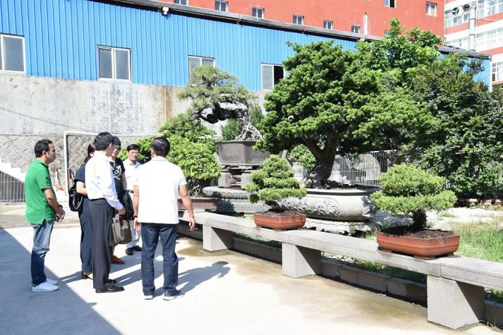 越南新闻网大篇幅报道鸿江盆景园