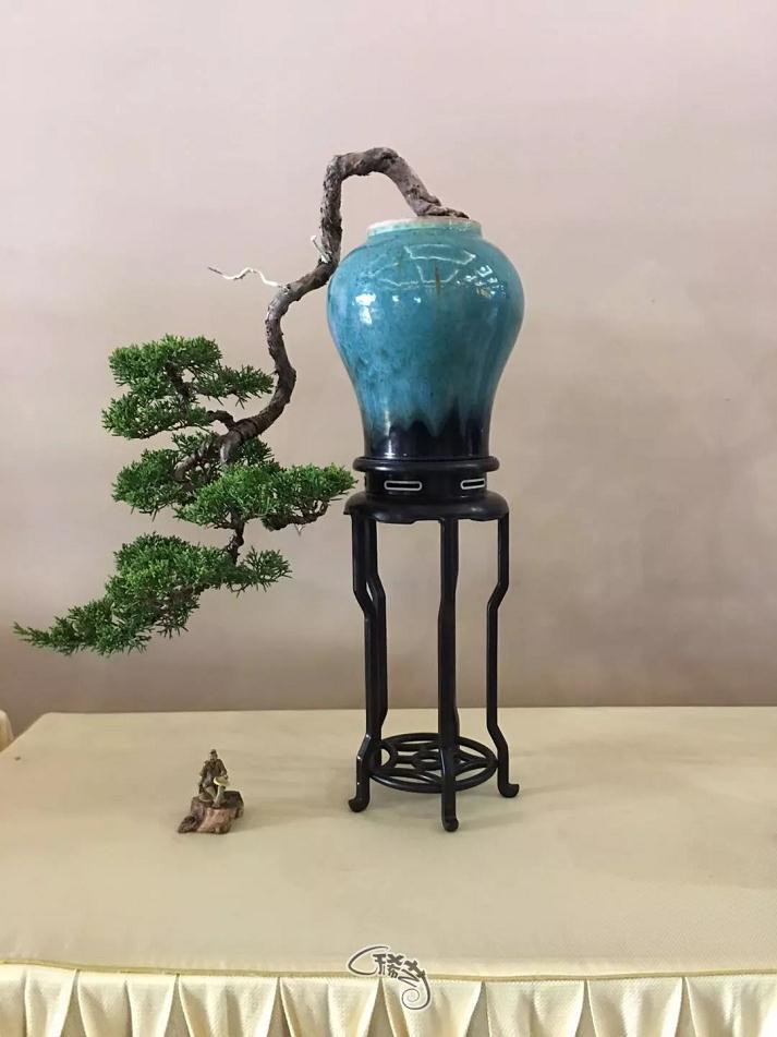 南山寺中的那些精致盆景