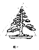 图解动势盆景的造型方法