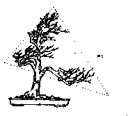 图解 动势盆景怎么造型的8个方法