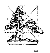 图解 动势盆景怎么造型的8个方法
