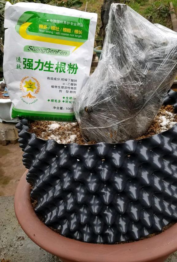 图解 制作金弹子下山桩的5个步骤