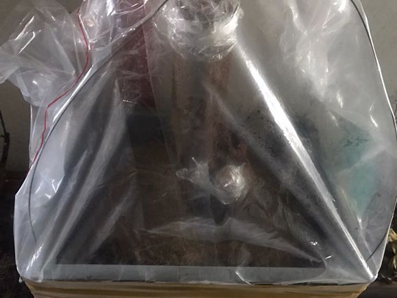 三角枫下山桩怎样养护  如何套袋发芽