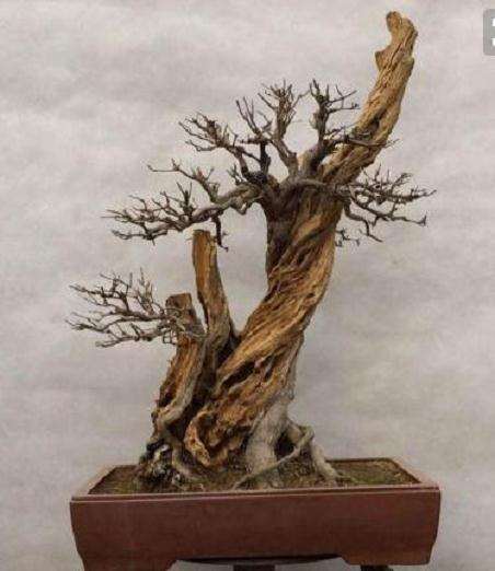 下山桩的缠膜怎么做 才能不发霉？