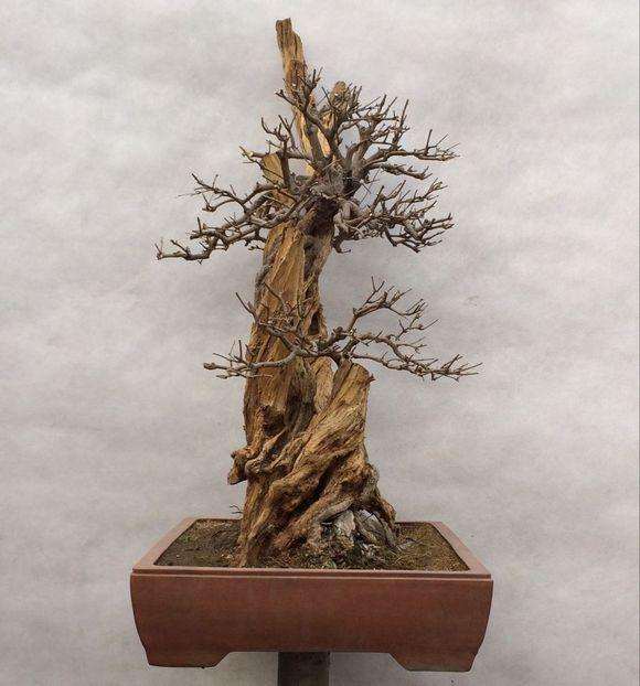 下山桩的缠膜怎么做 才能不发霉？