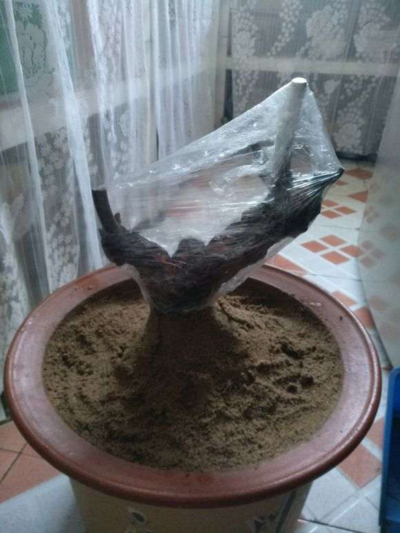 冬天的下山桩 这样处理可以吗？