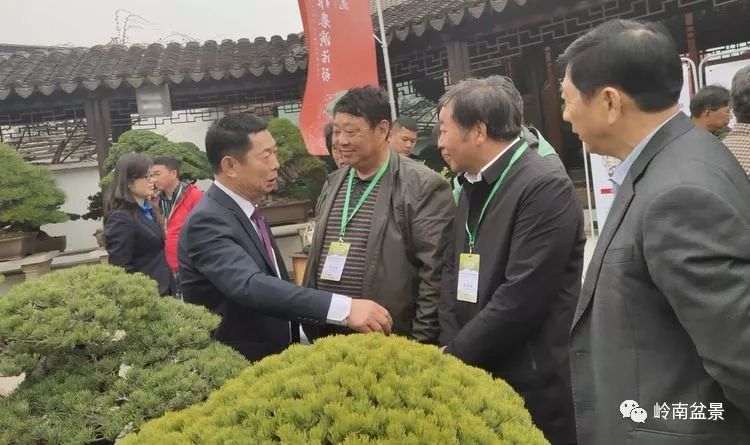 2019年 首届江苏青年盆景制作表演活动