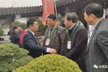 2019年 首届江苏青年盆景制作表演活动