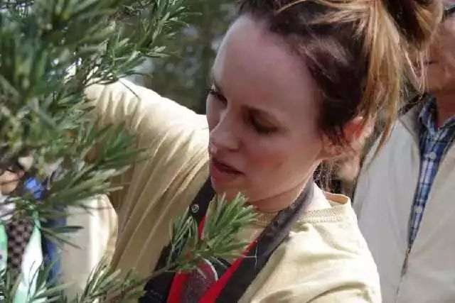 20位中外盆景青年将在上海植物园举办