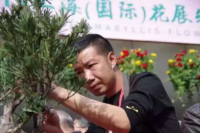 20位中外盆景青年将在上海植物园举办