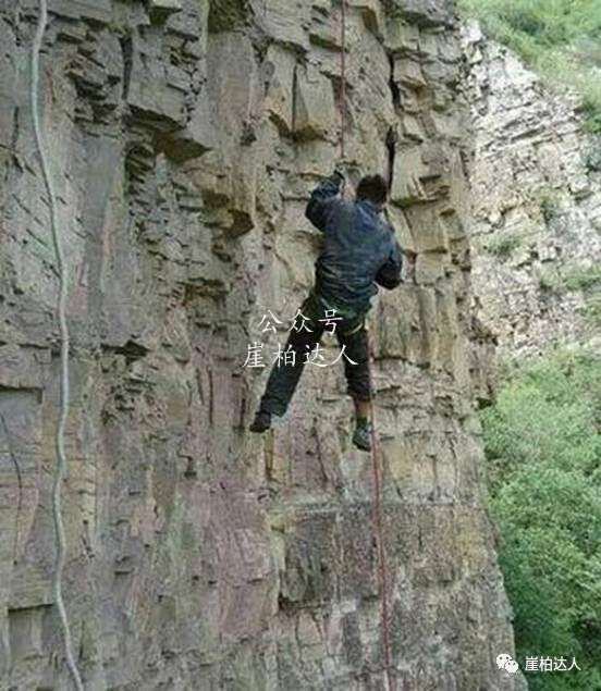 崖柏盆景界又一悲剧 焦作一柏农坠崖身亡