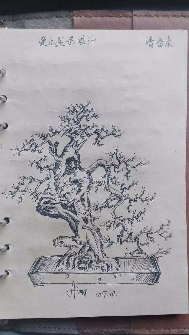 榆树盆景造型设计 舍利雕刻处理是重点