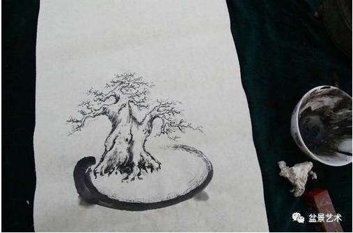 图解 王恒亮对榆树盆景的改做方法