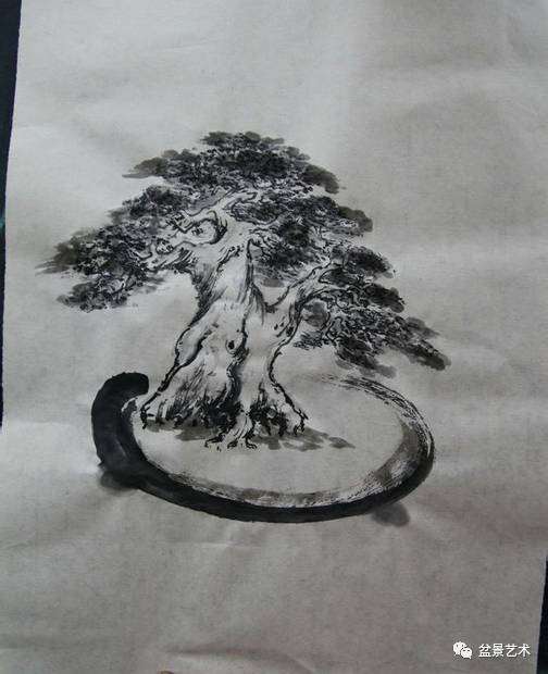 图解 王恒亮对榆树盆景的改做方法