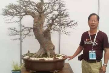 中国盆景艺术家协会第六届理事会理事 陈再米