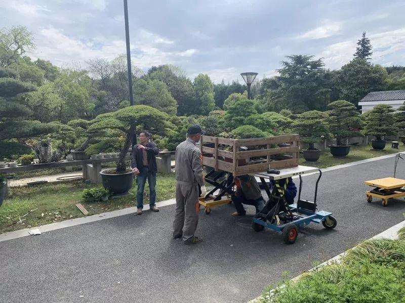 大部分盆景及配件已装箱 发往北京参展