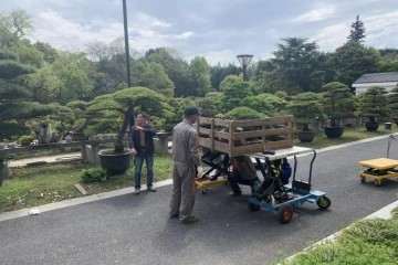 大部分盆景及配件已装箱 发往北京参展
