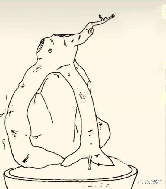 图解 怎么把三角枫制作成附石盆景